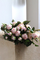 Rosalie, gałązka sztucznej róży, brzoskwiniowa