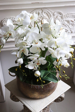 Medita, sztuczny storczyk w złotej misie, wys.59cm