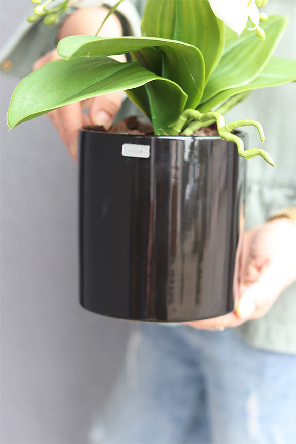 Figaro Black, sztuczny storczyk w czarnej donicy