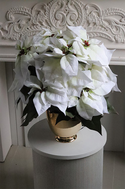 Gwiazda Betlejemska Cooler Gold, wysokiej jakości sztuczna roślina, wys.55cm