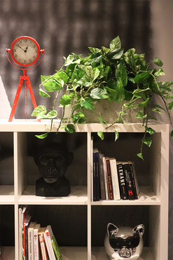 Epipremnum Ibis Concrete, kwiat sztuczny w donicy, wym.39x55cm