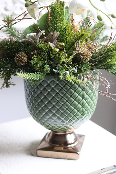 Frenita Winter, elegancki storczyk zimowy w pucharze