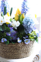 Hiacynty & Bratki Basket, wiosenna dekoracja w koszu