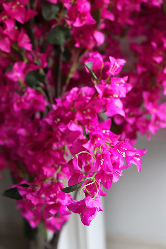 Oleander, sztuczna roślina w doniczce