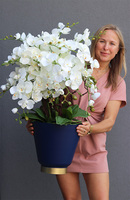 Niebieska Flotylla, elegancki sztuczny storczyk