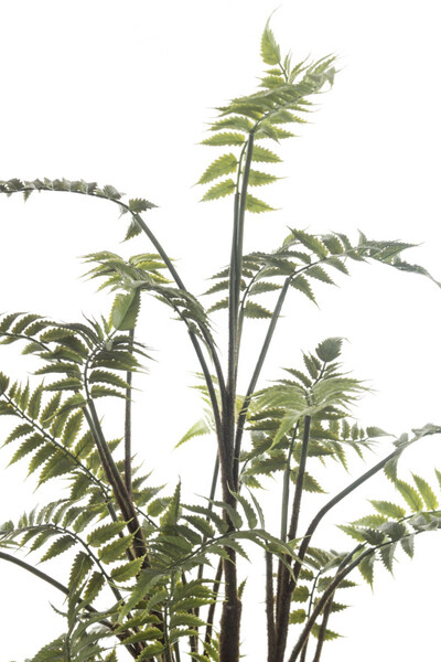 Paproć skórzasta, sztuczne drzewko w osłonce / donicy, wym.130x50x50cm