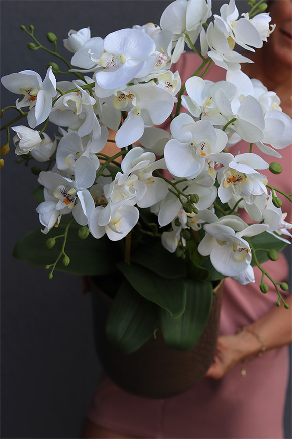 Złota Kraina Lux, storczyk w złotej metalowej osłonce