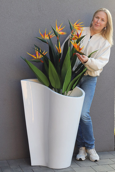 Strelicja Crayola, egzotyczna kompozycja w donicy fiberglass