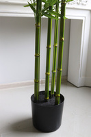 Bambus, sztuczna roślina w osłonce z tworzywa