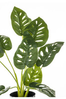 Monstera D, sztuczne drzewko w osłonce / donicy, wym.45x40x20cm