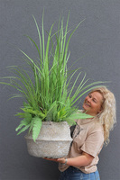 Merida Basket Plus, sztuczna trawa w koszu, wys.145cm