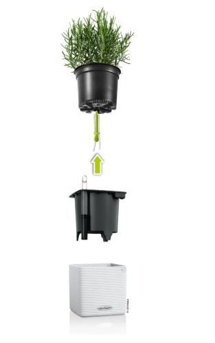 Cube, doniczka z nawadnianiem