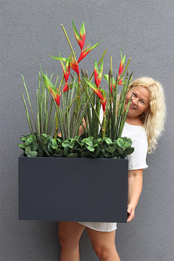 Chińska, dekoracja ze strelicjami w czarnej donicy, wys.110cm