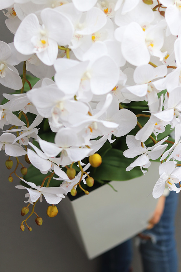 bogaty storczyk podłogowy w białej donicy, Mediolan White, wys.120cm  