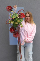 Clear Design Carmen, dekoracja nagrobna na płycie