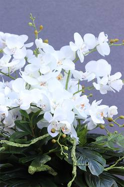 Biała Orchidea, kompozycja nagrobna w misie, wym. 