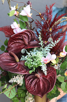 Anturium 2, bukiet nagrobny we wkładzie, wys.67cm