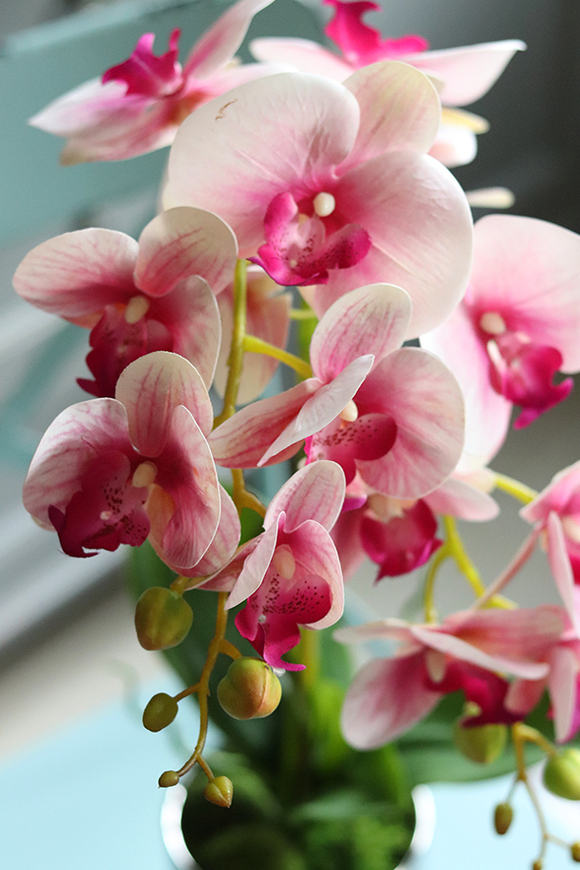 Fellice, gumowy storczyk w lustrzanej donicy