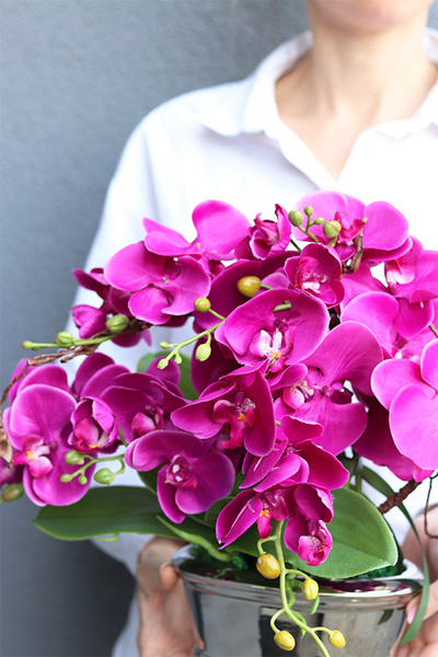 Fuksja Desilva, storczyk w lustrzanej donicy