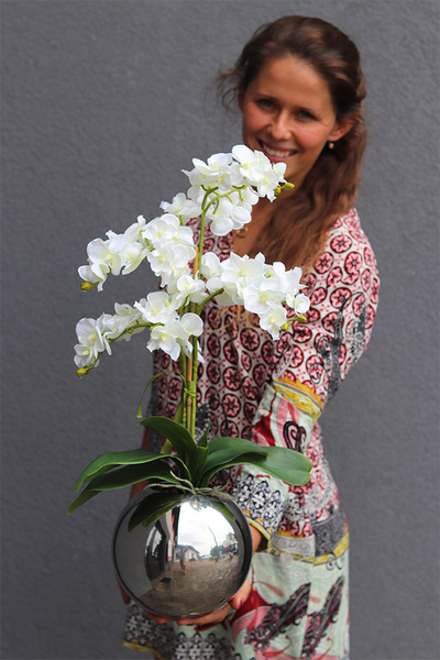 Silveia, sztuczny storczyk w lustrzanej donicy