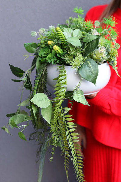 Herrano Greece, kompozycja sukulenty w białej misie