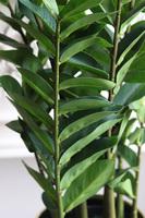 Zamiokulkas Gold, sztuczna roślina w doniczce