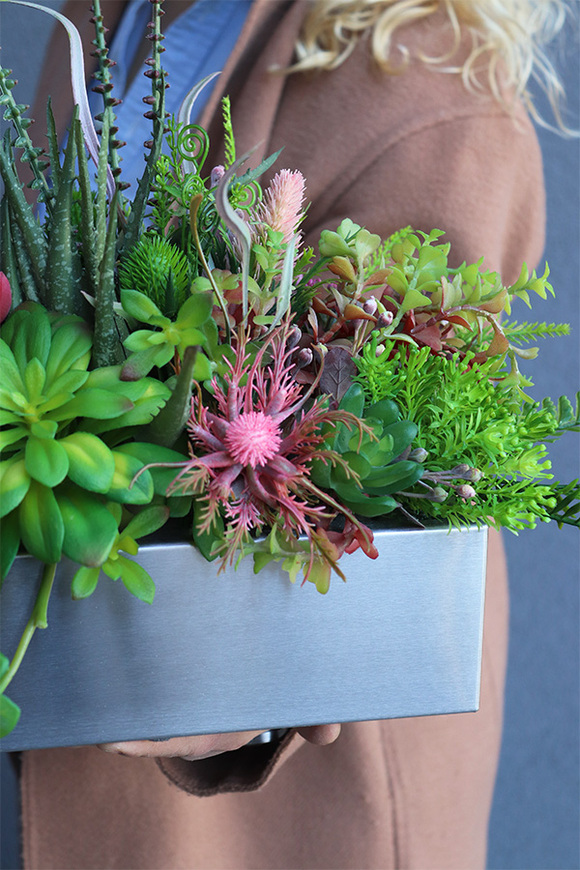 Ketrana Isolda Steel, sukulenty w stalowej donicy