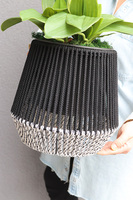 Bond, storczyk w sznurkowej doniczce