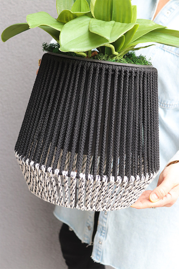 Bond, storczyk w sznurkowej doniczce