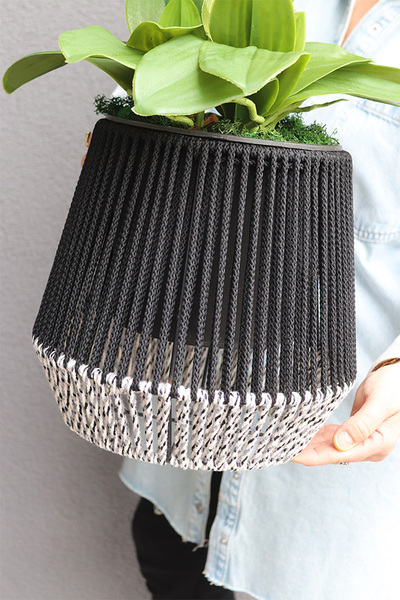 Bond, storczyk w sznurkowej doniczce