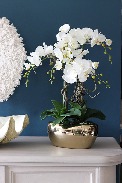 Agnesja, storczyk w złotej donicy glamour, wys.65cm
