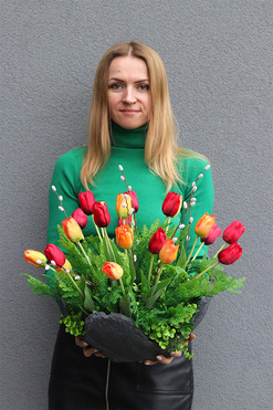 Tulippe Volcan, kompozycja nagrobna w misie, wys.46cm