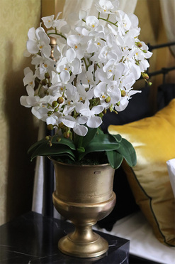 Pucharia Deluxe, storczyk w złotym pucharze, wys.88cm 