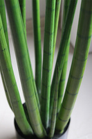 Sansewieria Cylindryczna, roślina sztuczna w donicy