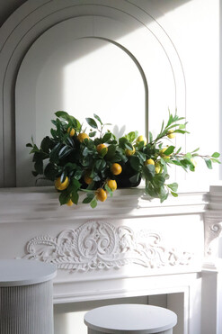 Sicilia Lemon, kompozycja w długiej donicy, wym.35x70x40cm 