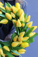 Witaj Wiosno Yellow Retra, wianek z tulipanów