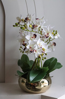 Gold Orchid Piano, storczyk w złotej donicy