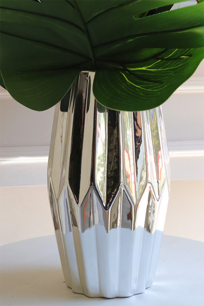 Strelicja Silver Yfrena, kompozycja w wazonie