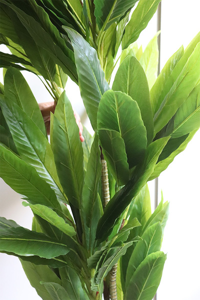 Dracena Domingo, sztuczna roślina w doniczce