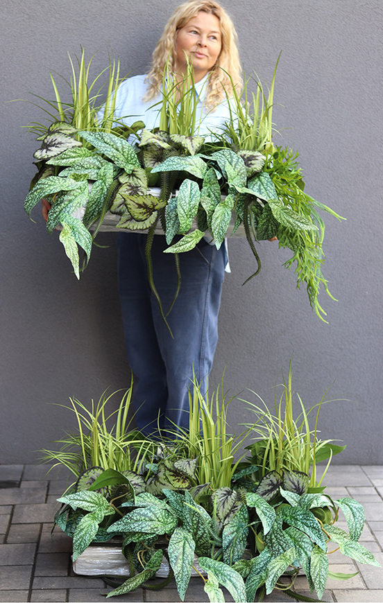 Morena Green Saute, zielona dekoracja do twojej donicy