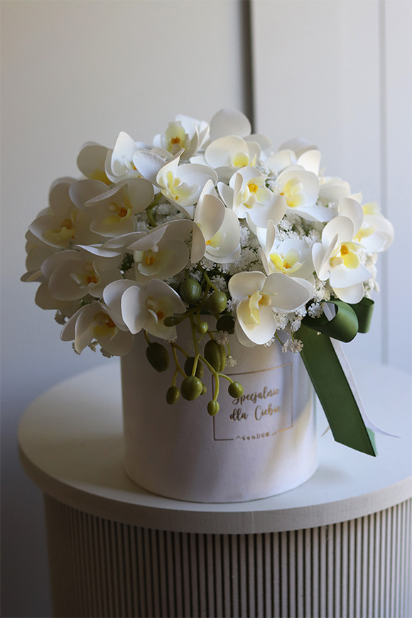 Orchidea, biały flowerbox ze storczykiem