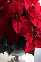 Gwiazda Betlejemska Deluxe Silver, sztuczna roślina w donicy