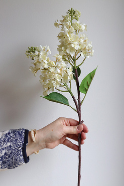 OD RĘKI Bzy Royal, gumowy bez kwitnący lilak, biel, dł.66cm 