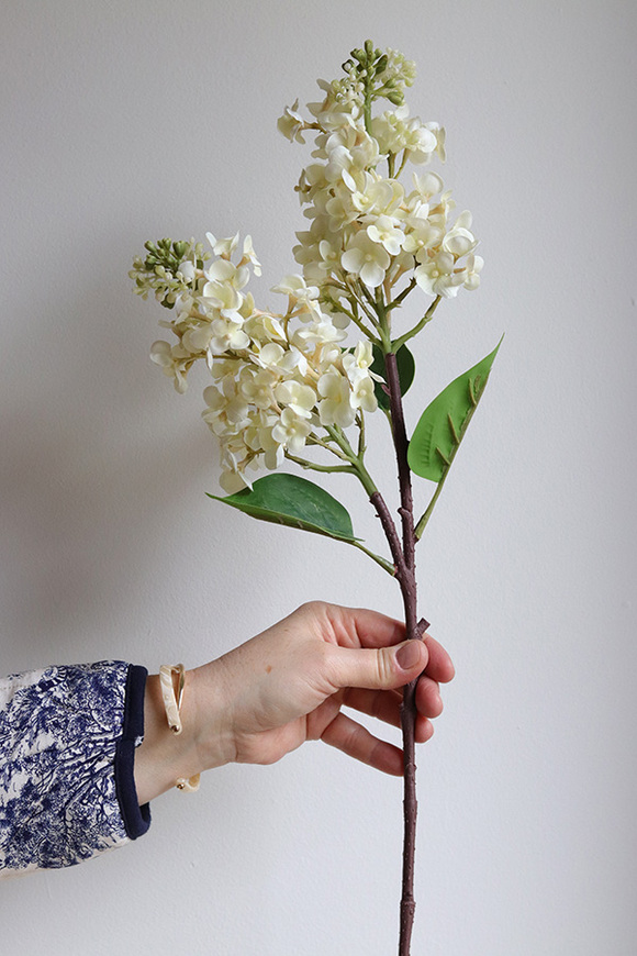 Bzy Royal, gumowy bez kwitnący lilak