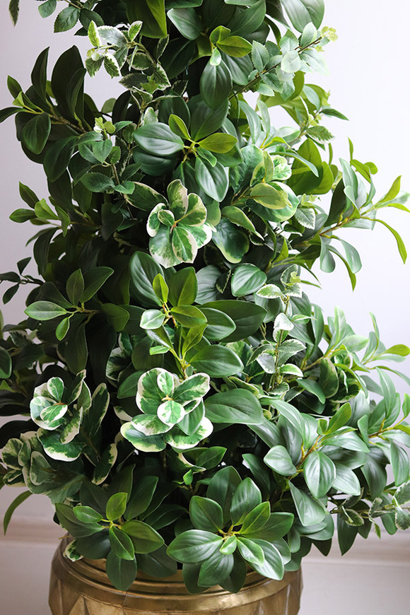 New Green GoldLine, drzewko sztuczne kolumnowe w donicy