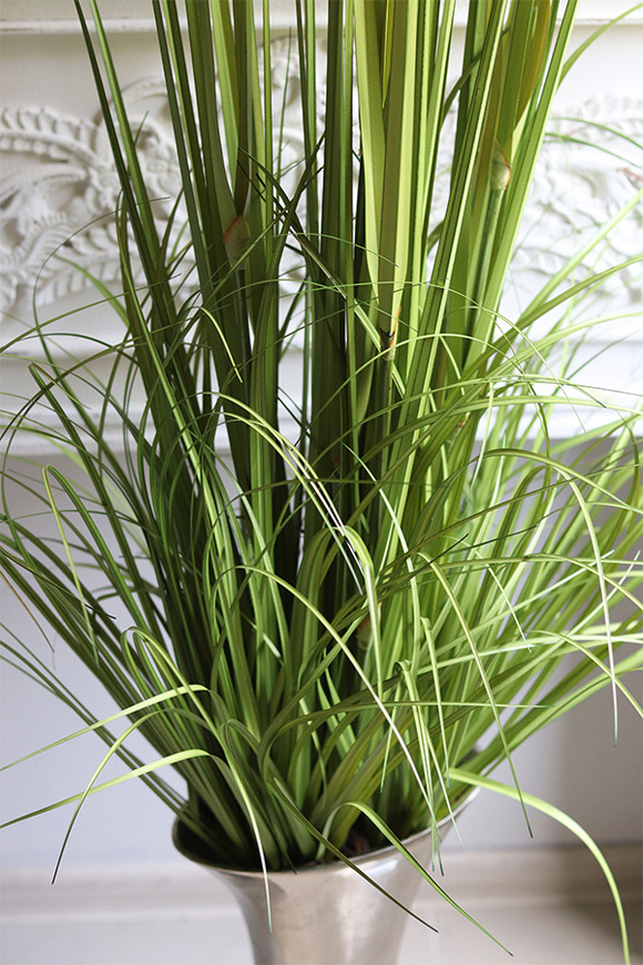 kompozycja z trawami Palazzo Vero