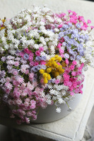 Kaszka Velvet, flowerbox kwiatowy welurowy, gipsówka