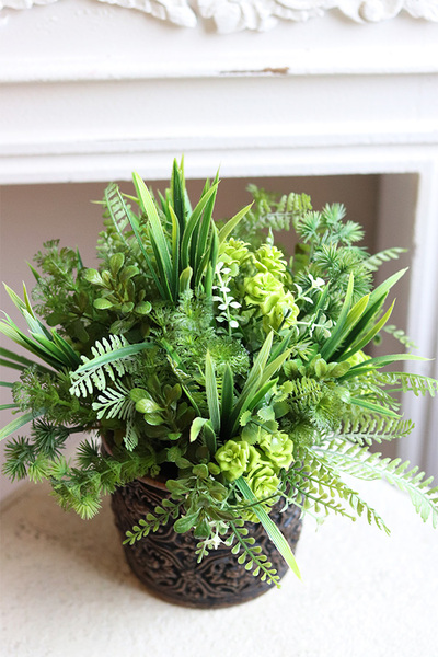 Ferade, sukulenty w nowoczesnej donicy