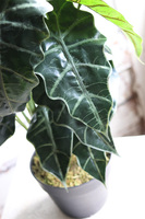 Filodendron, sztuczna roślina doniczkowa, wys.62cm