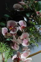 Dekoria Laos Aurisa, kompozycja w podłużnym naczyniu